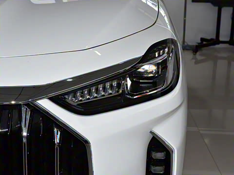 2025�� �ھ��� 1.5T �ֶ��ھ� 5��