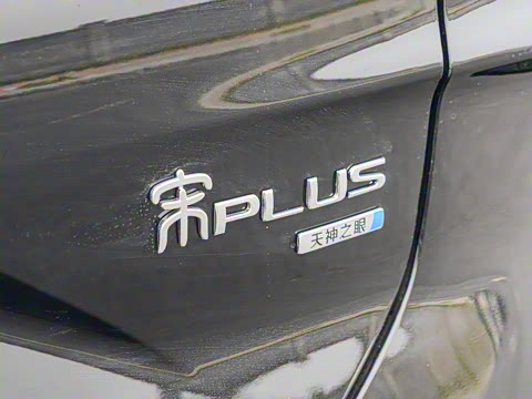 2025�� DM-i �Ǽݰ� 112KM �����