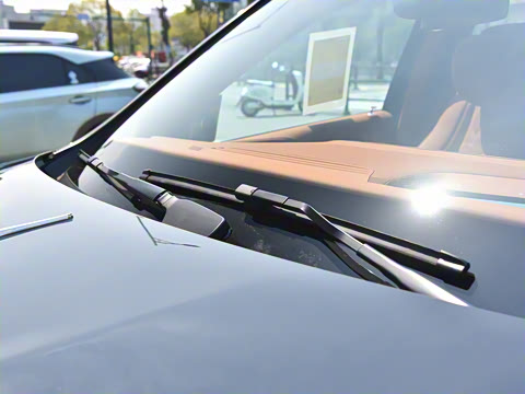 2025�� ������