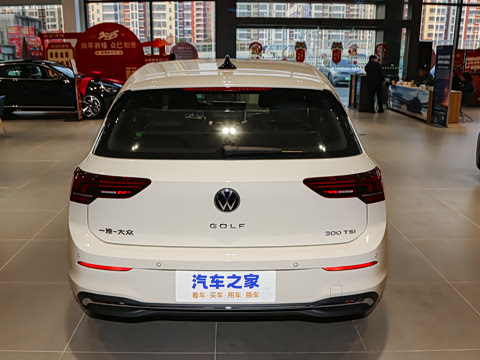 2025�� 300TSI Pro