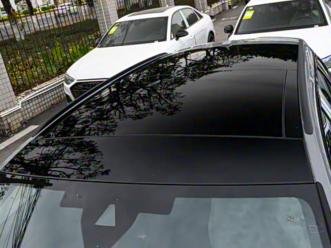 2024��  RS 6 4.0T Avant performance