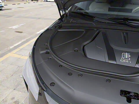 2025�� �Ǽݰ� DM-i 115KM �����