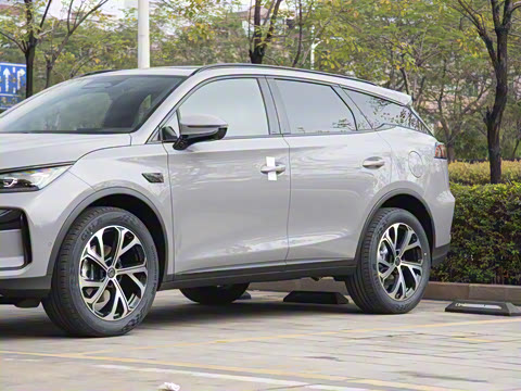 2025�� �Ǽݰ� DM-i 115KM �����