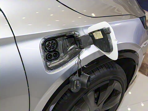 2025�� ������