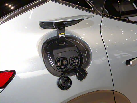 2024�� ˫�������������