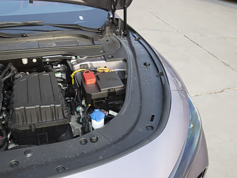 2025�� ���� Max ����������ʻ