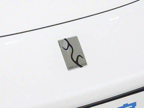 2025�� EV ����������