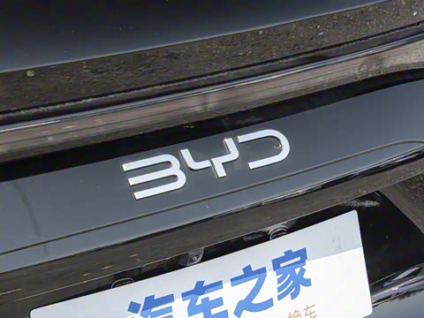 2025�� DM-i �Ǽݰ� 115KM�콢��