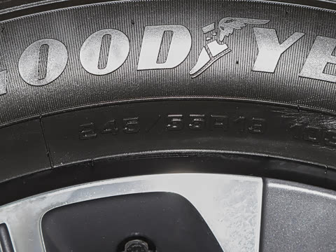 2023�� ������