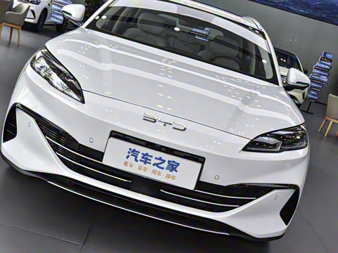 2025�� DM-i 80KM�����