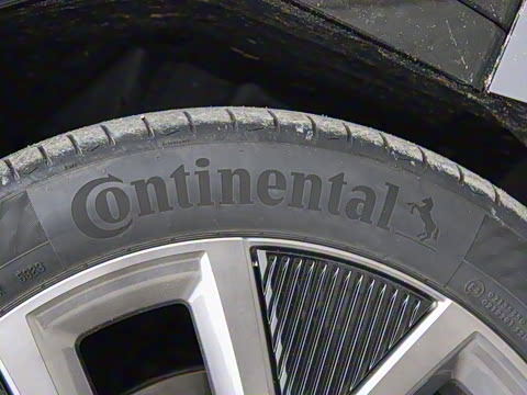 2025�� ����������Max