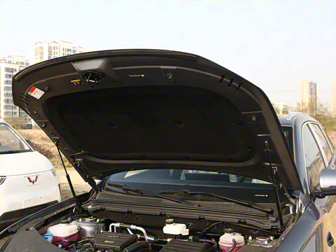 2025�� �ڶ��� �Ǽݰ� DM-i 115KM׿Խ��