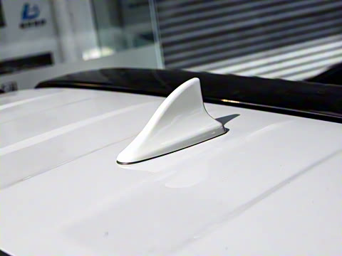 2025�� ɳ���ر�� ����