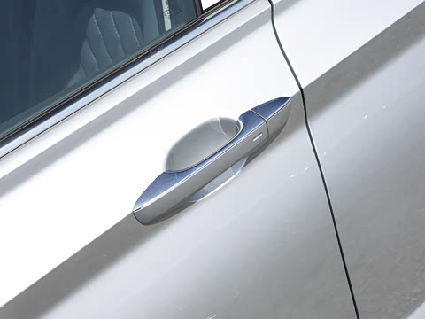 2024�� 300TSI DSG��Խ��