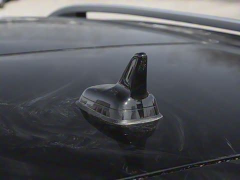 2025�� 300TSI DSG���������