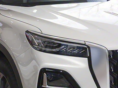 2025�� 2.0T ��������Pro��