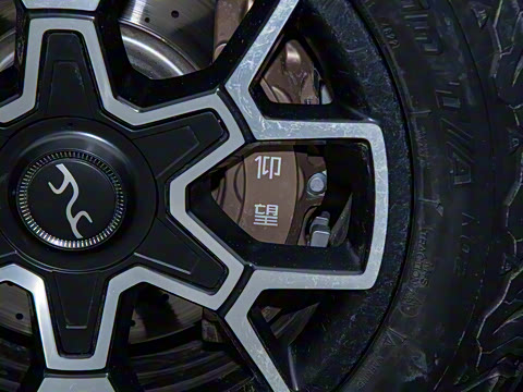 2023�� ԽҰ��Ұ���װ��