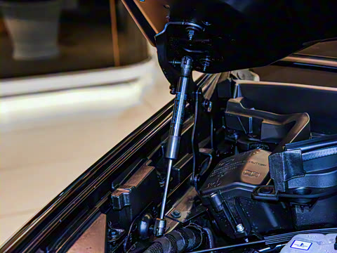 2023�� 3.0T Trofeo