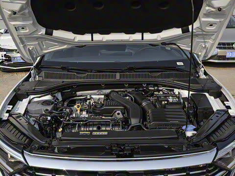 2025�� �Ŀ� 300TSI DSG��Խ��