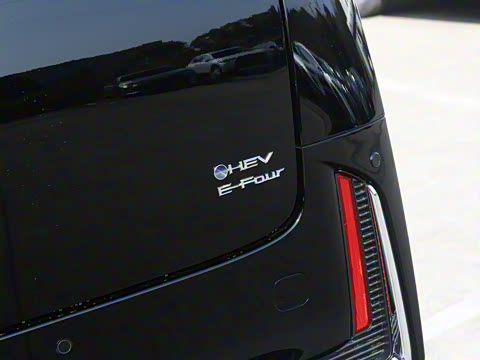 2024�� �ʹ� ˫�� 2.5L ����������