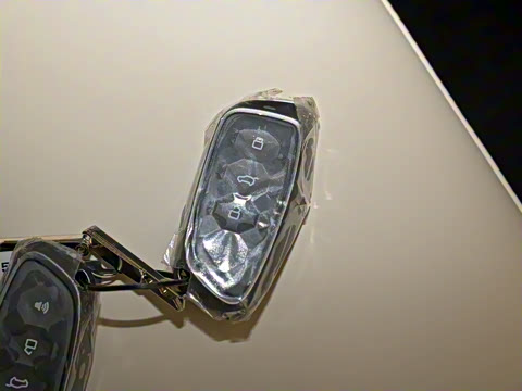 2024�� 2.0T ����Max