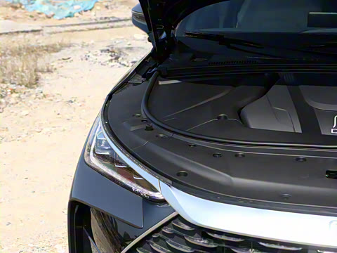 2025�� �Ǽݰ� DM-i 115KM �콢��