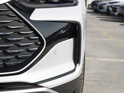 2025�� �Ǽݰ� DM-i 115KM �콢��