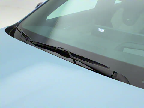 2025�� 28T �������ܰ�