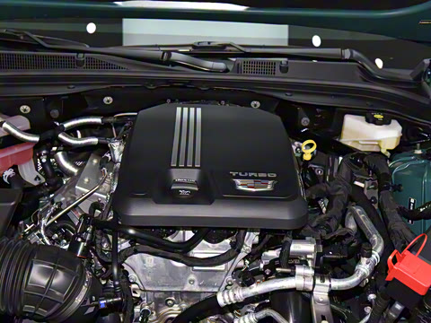 2025�� 28T �������ܰ�