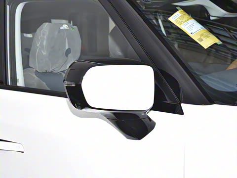 2024�� ����������