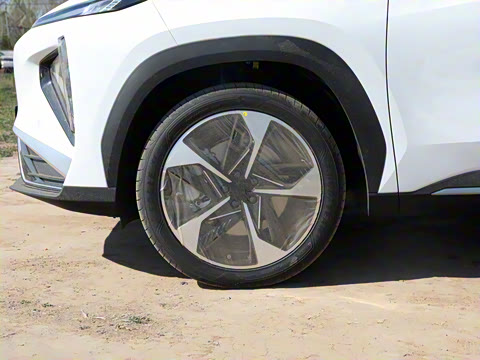 2025�� 3DHT 115km �ǽ���