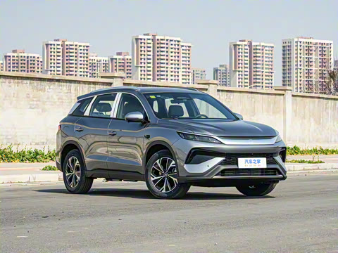 2025�� �ڶ��� �Ǽݰ� DM-i 115KM��Խ��