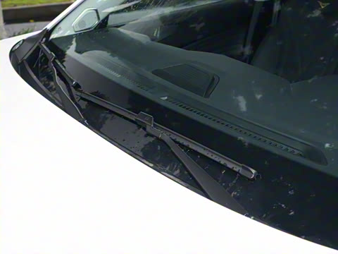 2025�� 1.5T ɽ�������� 7��