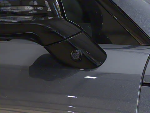 2025�� ������