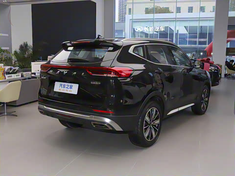 2023�� ������ 1.5T �Զ��ھ���