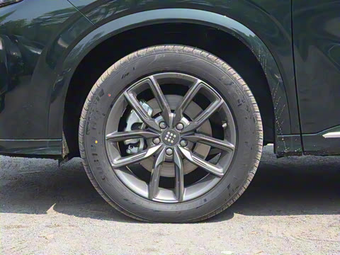 2025�� 165km ������������ 7��