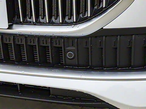 2025�� 1.5T 106KM������ 7�� �������