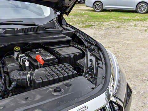 2025�� 1.6TD �ֶ����ʰ� 5��