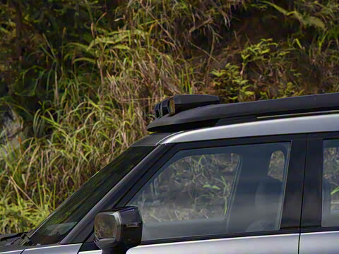 2024�� ����������