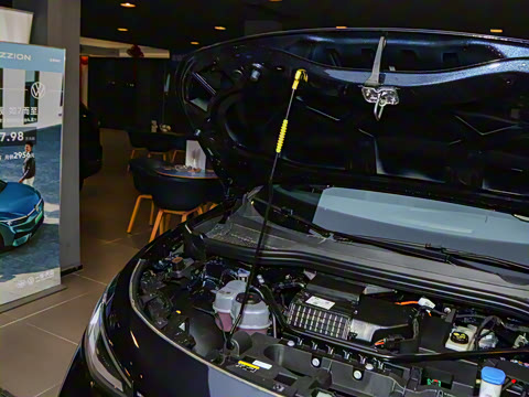 2025�� ������PURE+��