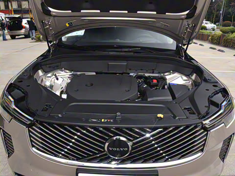 2025�� �Ŀ� B6 ���ź����� 6��