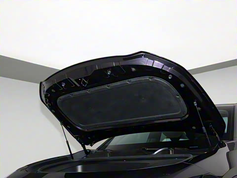 2025�� ����600 Max