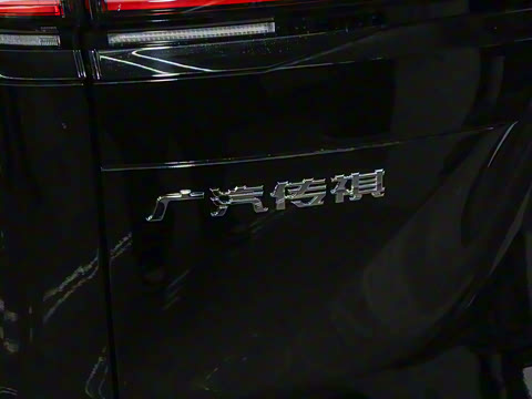 2024�� ��ҫϵ�� 2.0L ��ҫ��