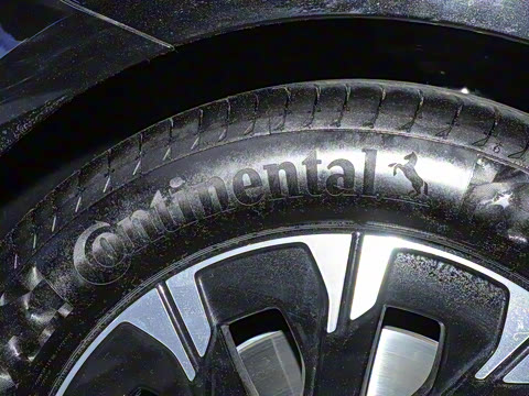 2025�� �����������վ�