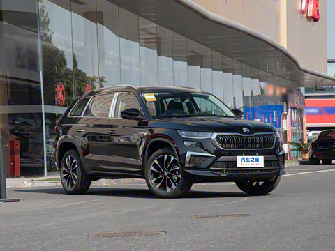 2025�� TSI330 5������������