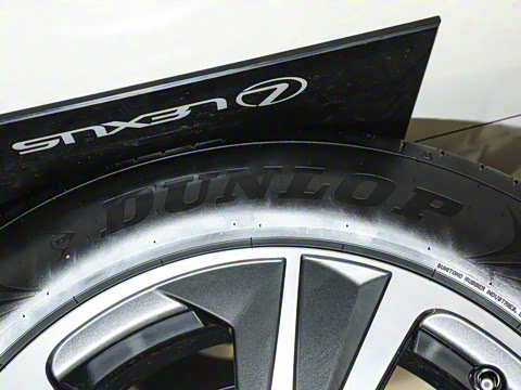 2025�� 300 ����������