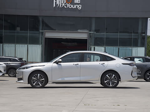 2024�� ����� 145 ������