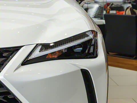 2024�� 300h ̽���