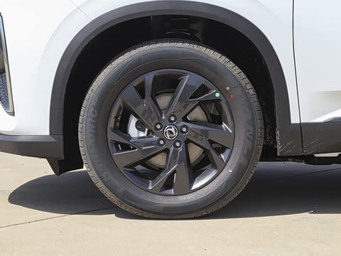 2025�� 518������