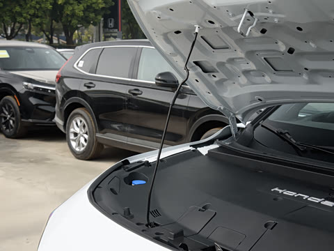 2025�� �캽�߰�